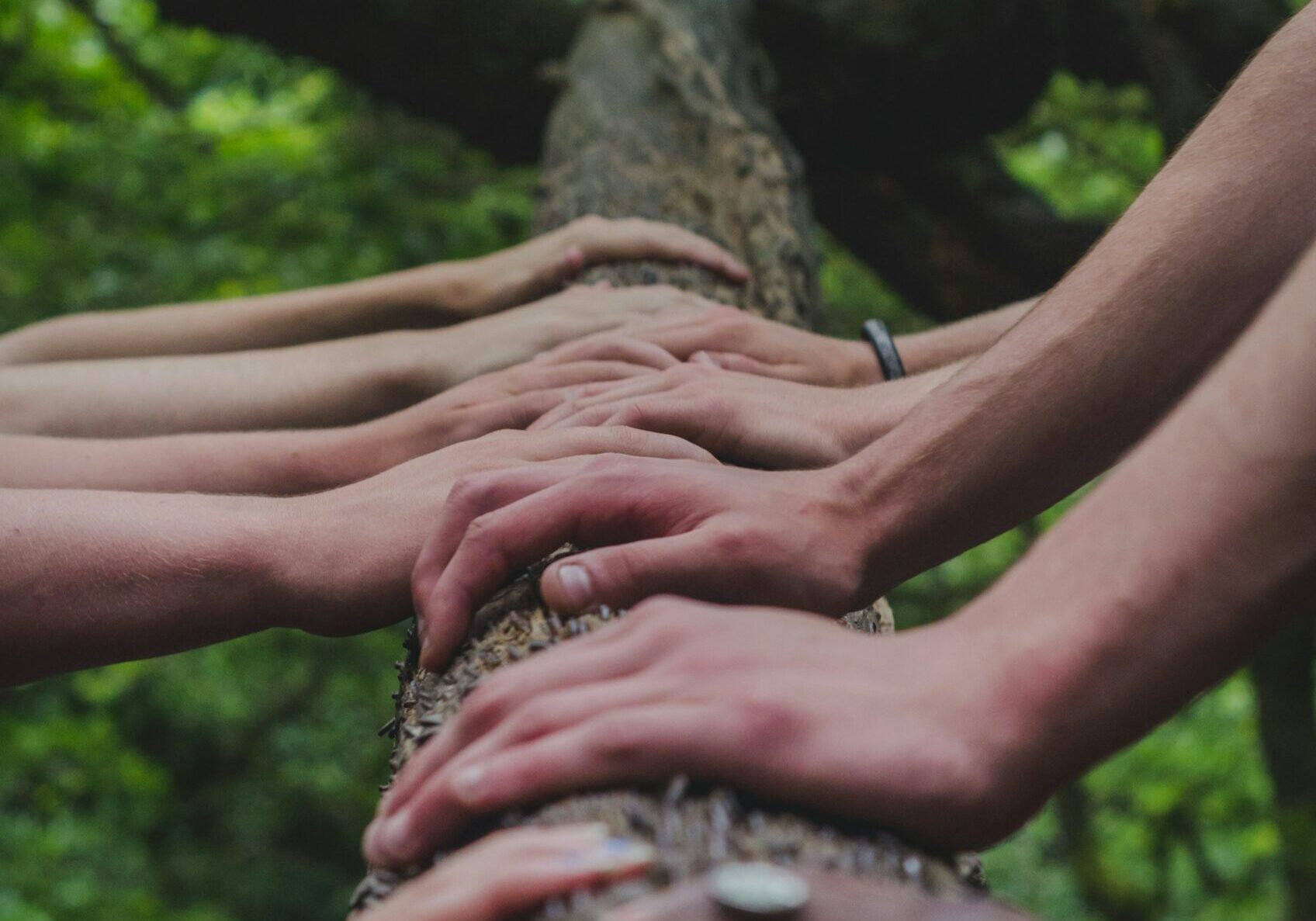 Multiple hands holding onto tree